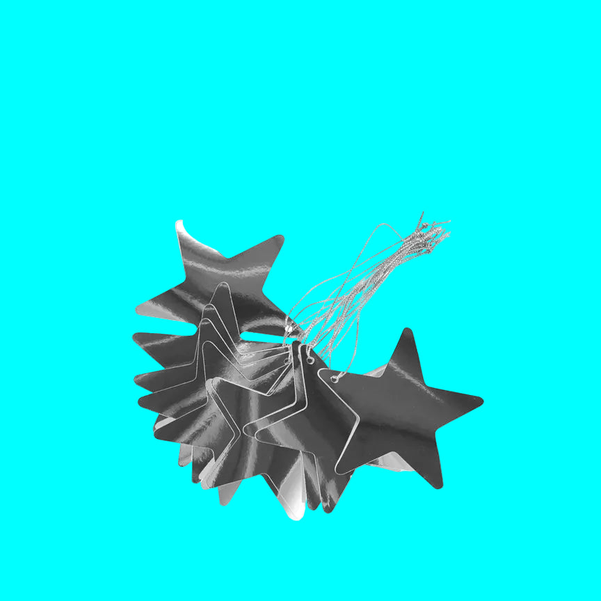 SILVER STAR GIFT TAG 8PK