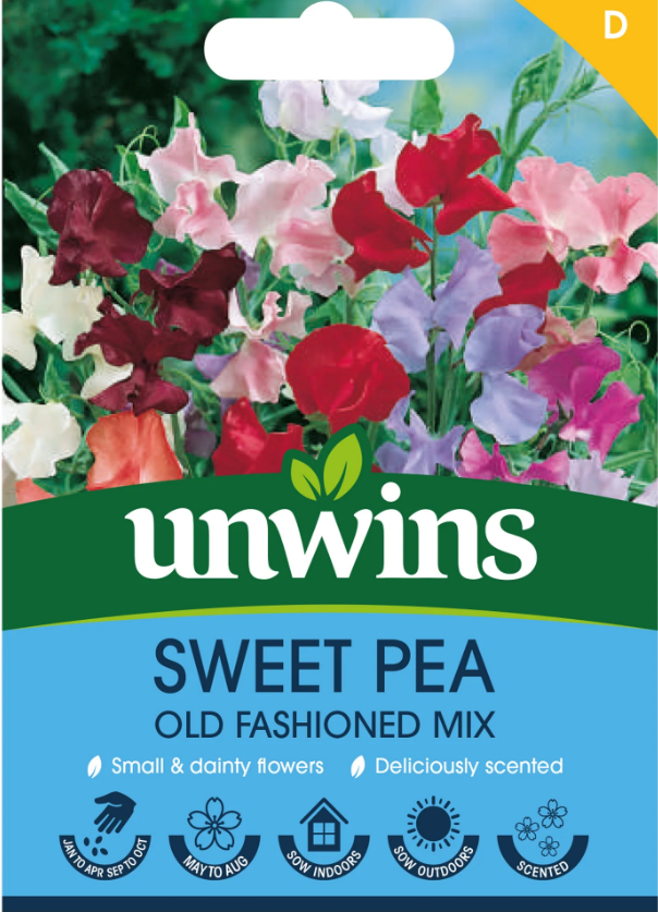 Sweet Pea