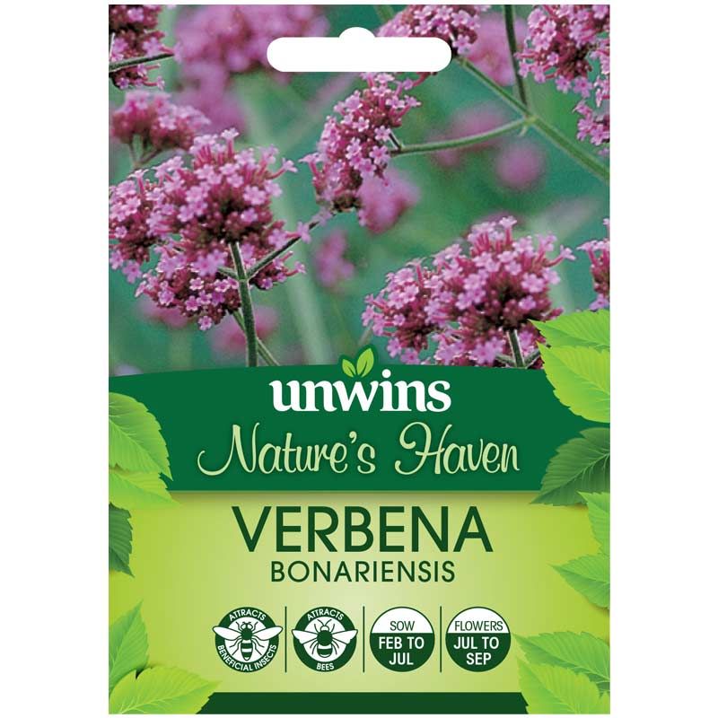 Unwins Verbena Bonariensis Seeds