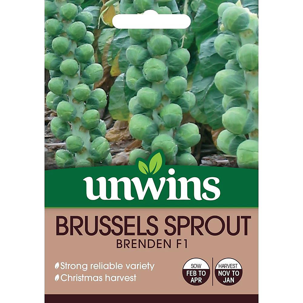 Unwins Vegetable Brussels Sprout Brenden F1 Seeds