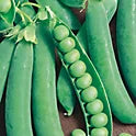 Unwins Vegetable Seeds Pea Alderman