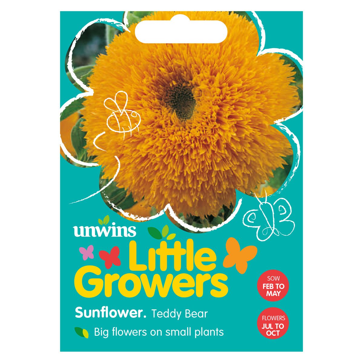 Little Growers Sunflower Teddy Bear Seeds