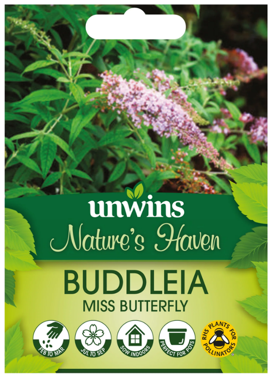 Nature's Haven Buddleia Miss Butterfly Seeds