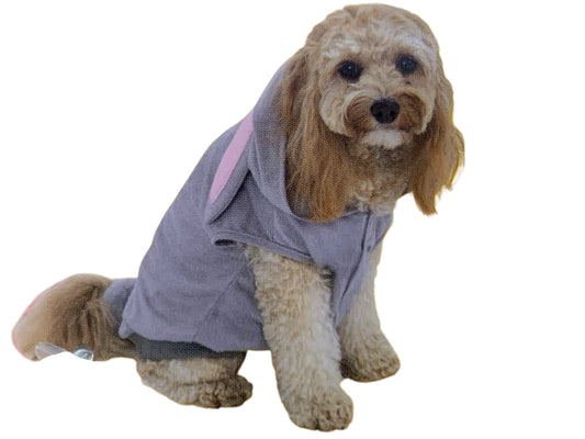 George Easter Pet Outfit