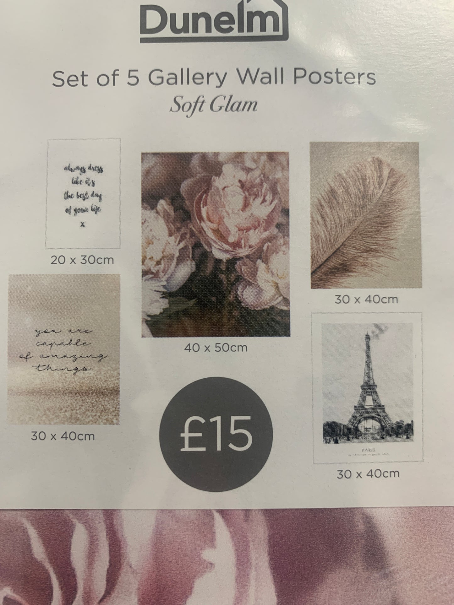 Dunelm Soft Glam gallery wall poster set
