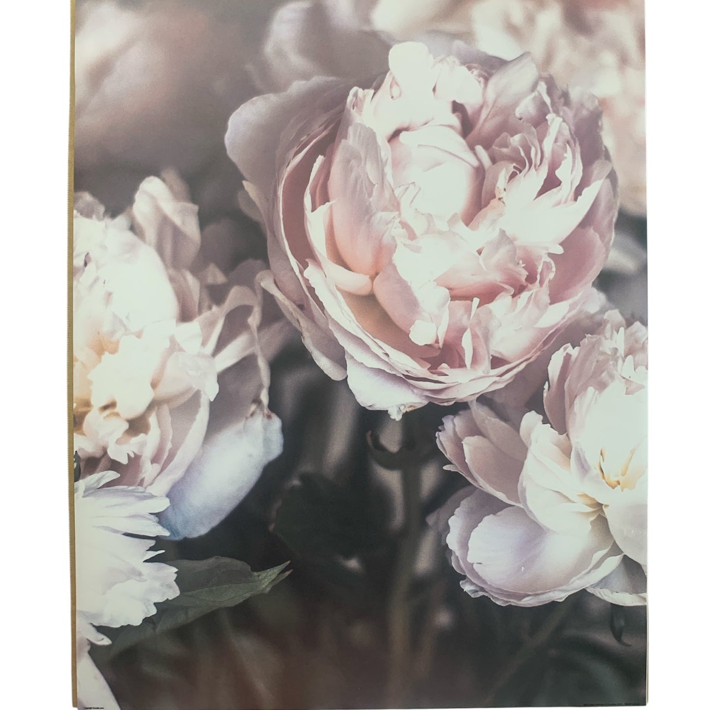Dunelm Soft Glam gallery wall poster set