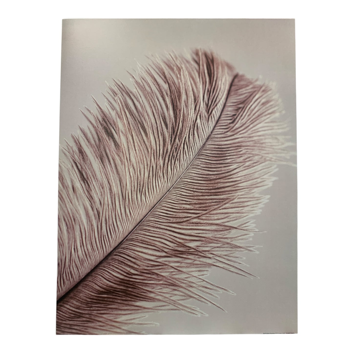 Dunelm Soft Glam gallery wall poster set