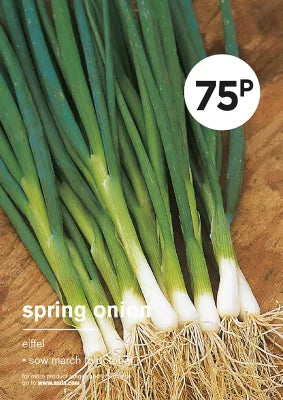 Grow Your Own Spring Onion Vegetable Seeds