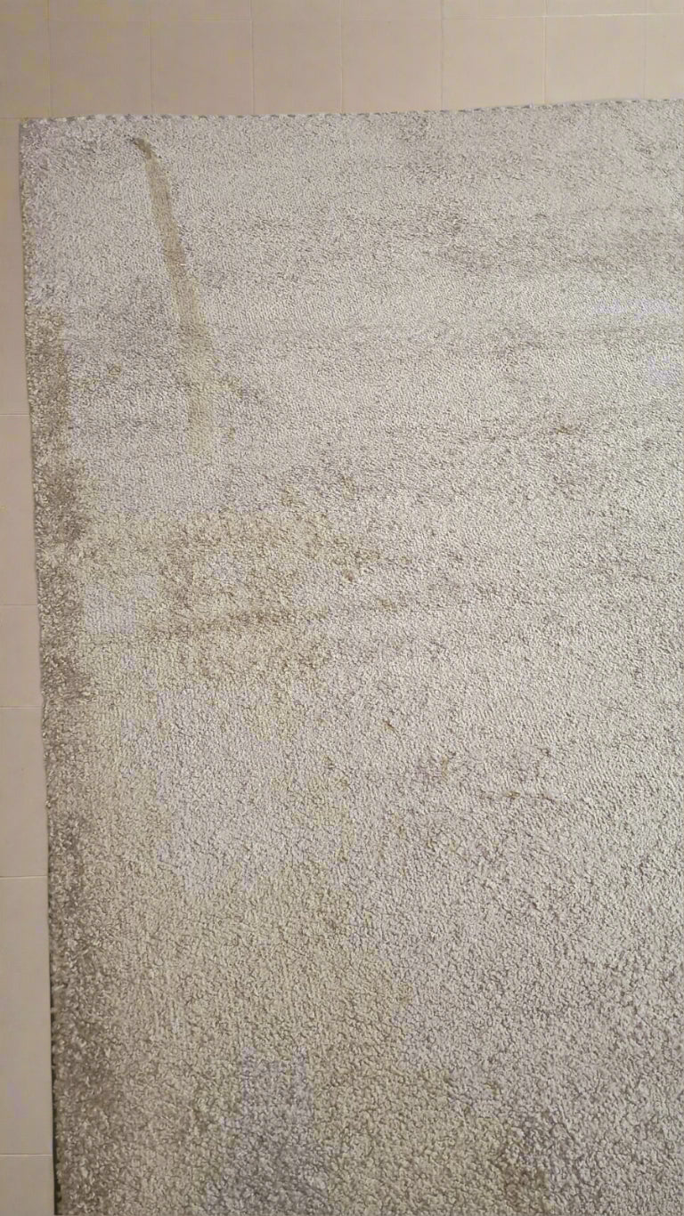 Snuggle Shaggy Beige Area Rug- The Ultimate in Softness