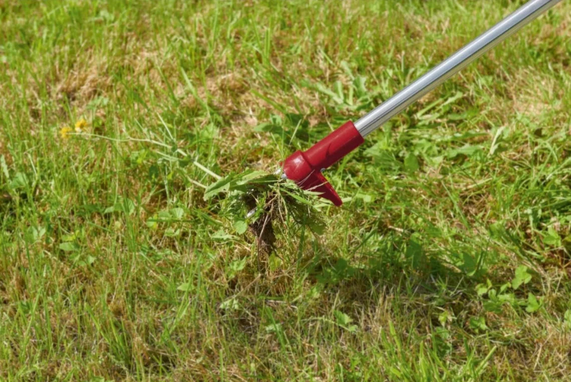 PARKSIDE Ergonomic Weed Puller – Removes Roots Without Bending Down