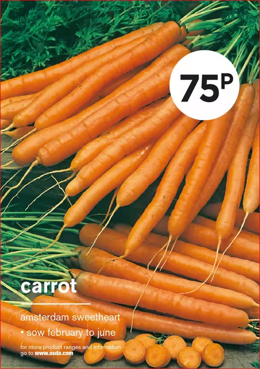 Carrot Seeds