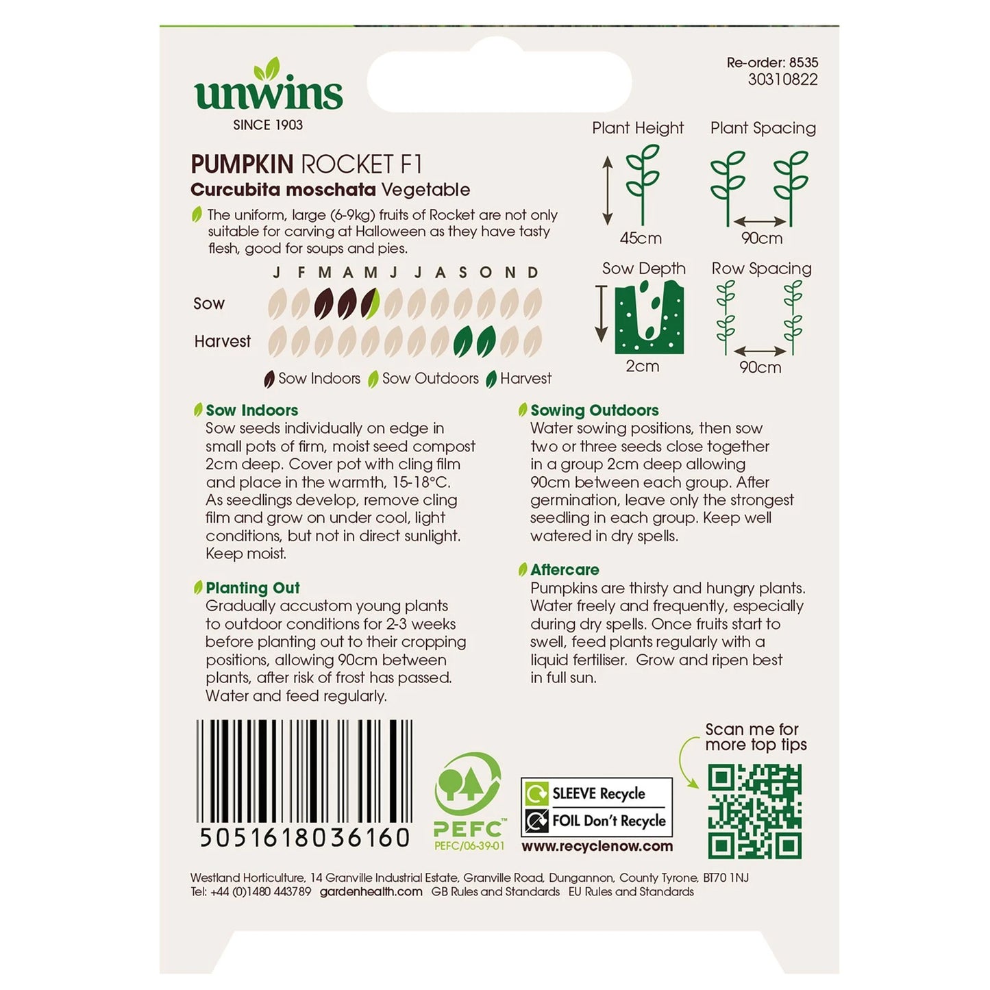 Unwins Vegetable Pumpkin Rocket F1 Hybrid - 5 Seeds