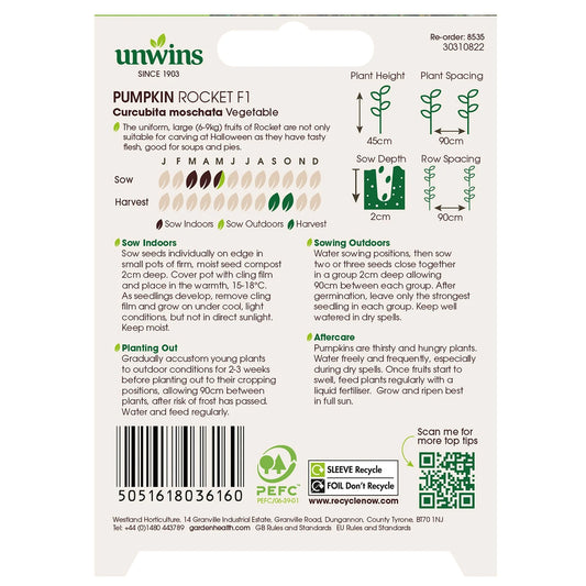 Unwins Vegetable Pumpkin Rocket F1 Hybrid - 5 Seeds
