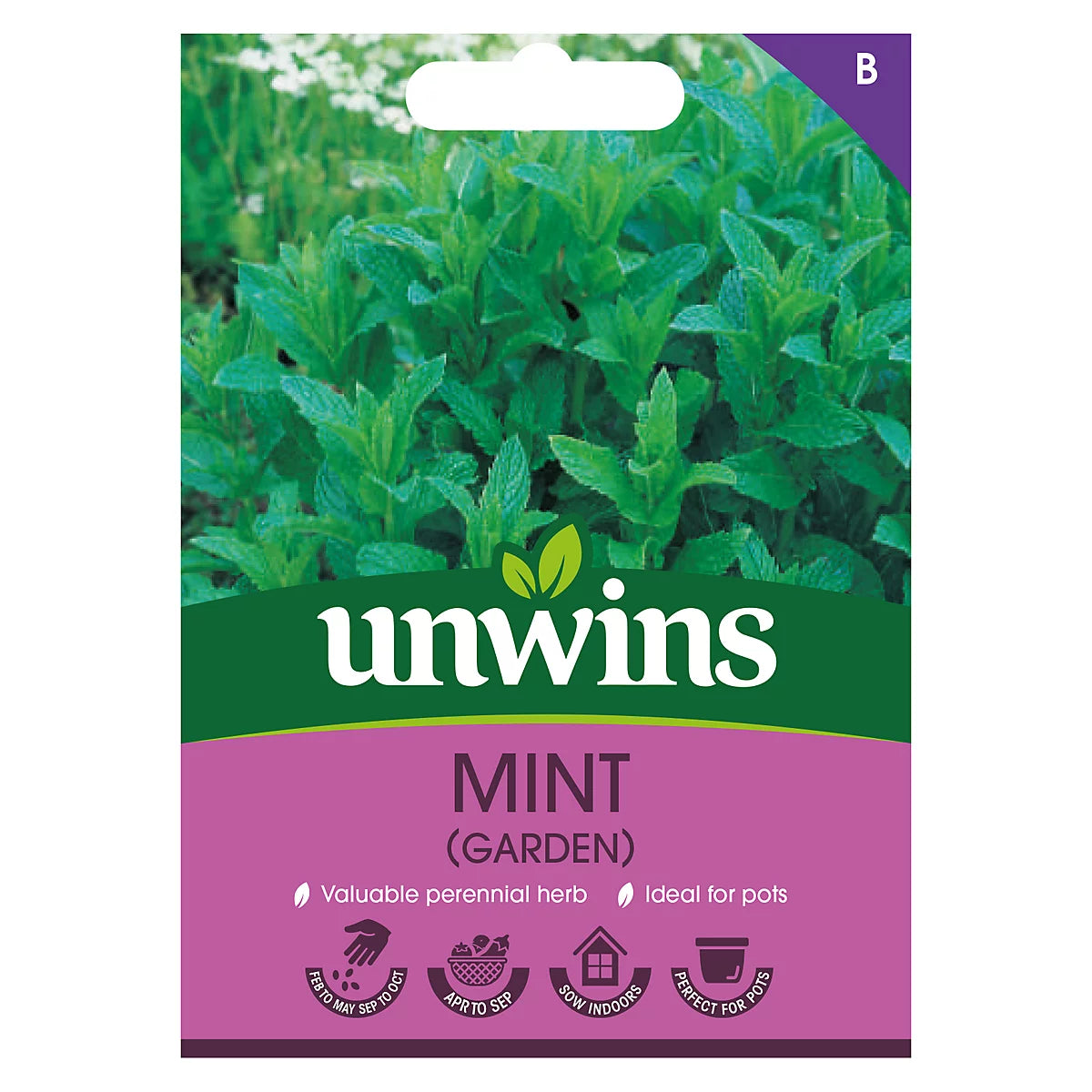 Unwins Herb Mint Seeds