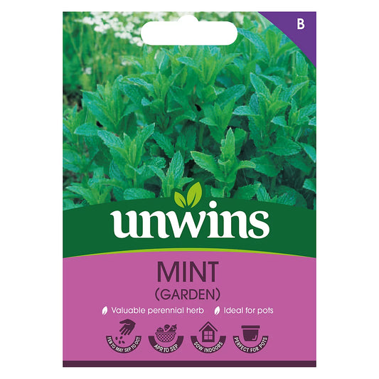 Unwins Herb Mint Seeds