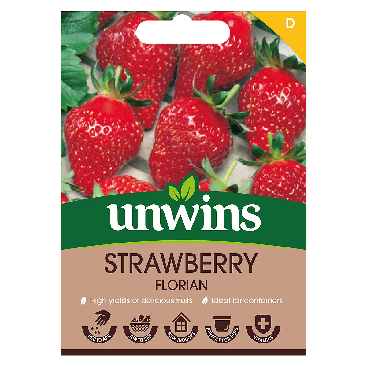 Unwins Strawberry Florian Easy To Grow Seeds
