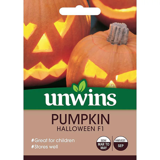 Unwins Vegetable Seeds Pumpkin Halloween F1