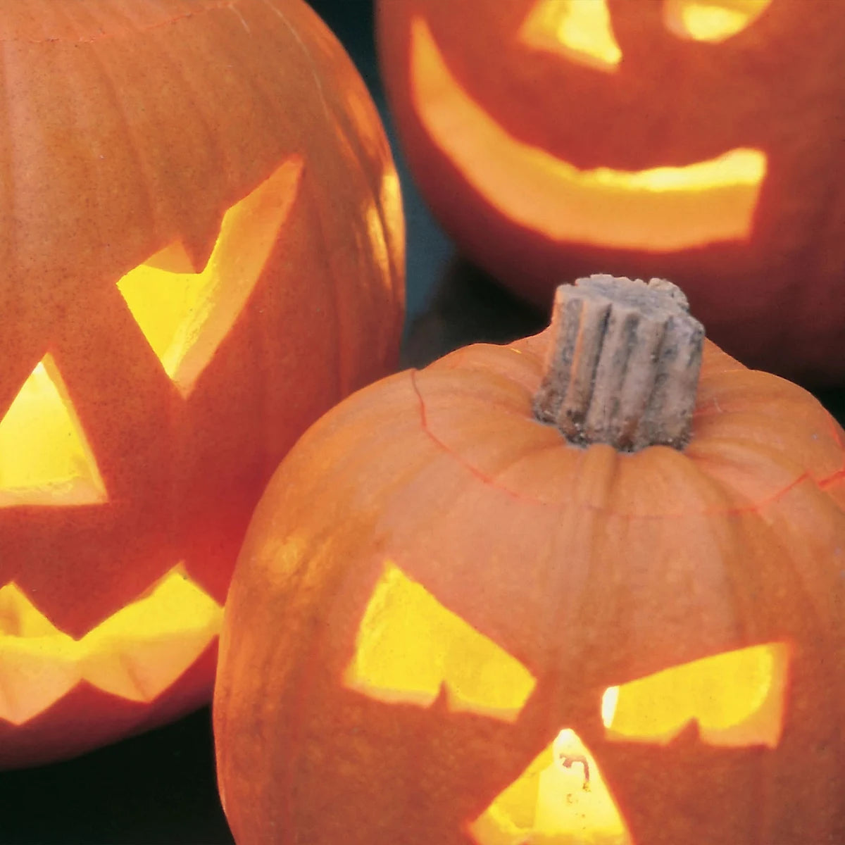 Unwins Vegetable Seeds Pumpkin Halloween F1